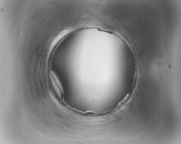 X0000052650008200507221853