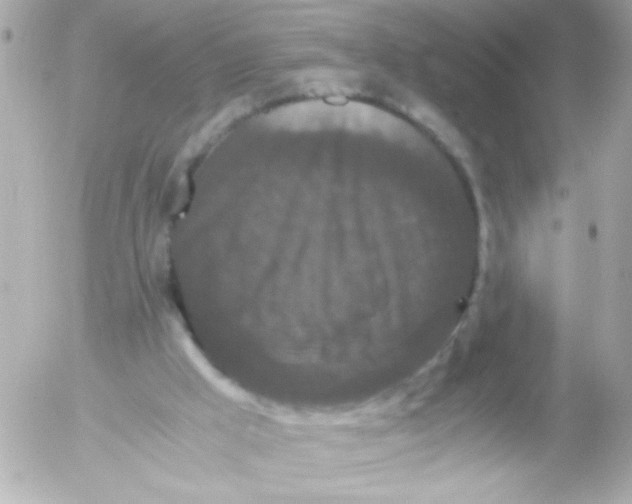 X0000052650009200507221853