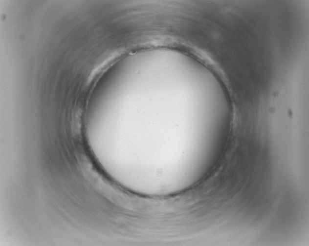 X0000052650010200507221853