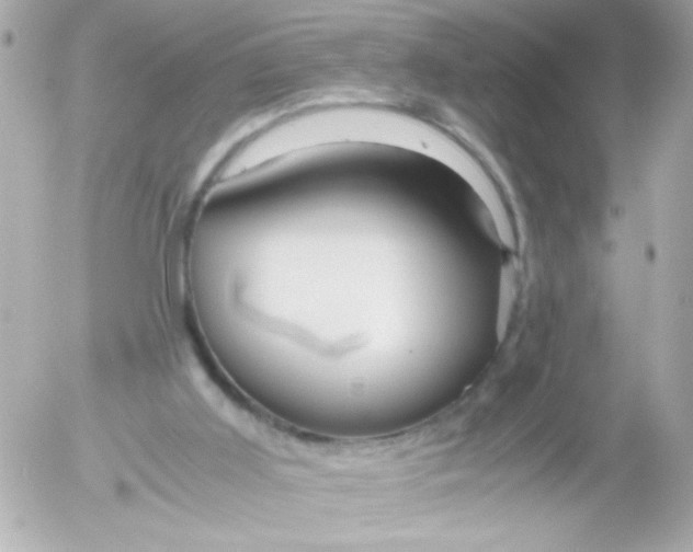 X0000052650011200507221853