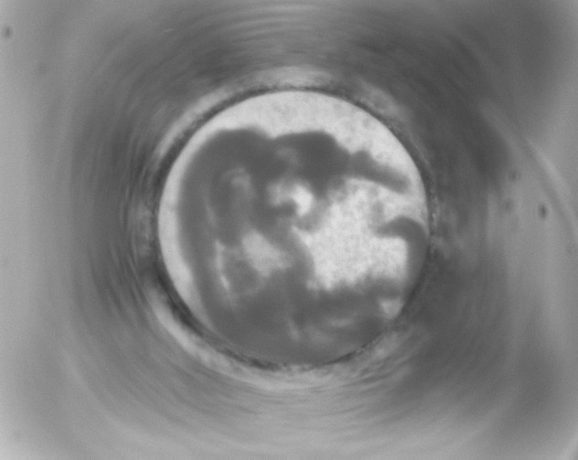 X0000052650012200507221853