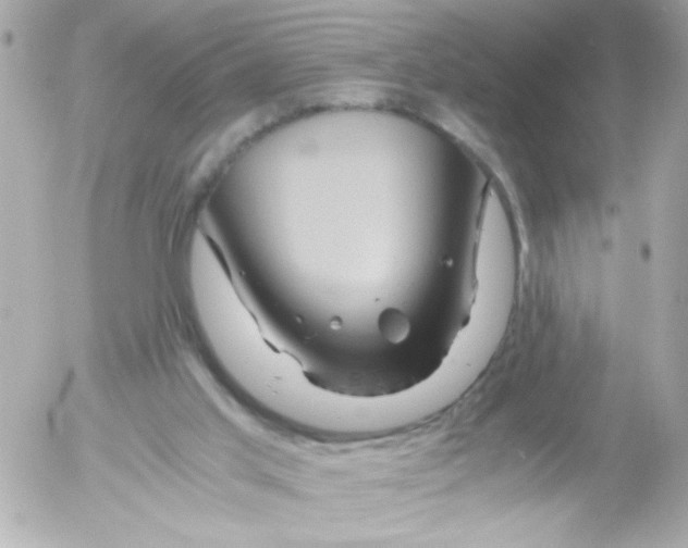 X0000052650013200507221853