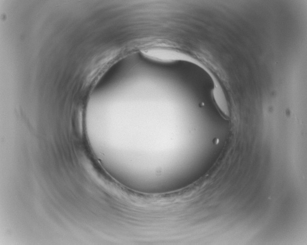 X0000052650014200507221853