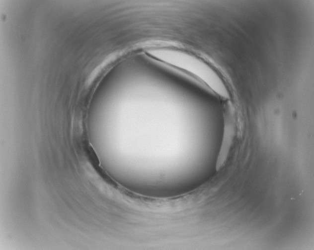 X0000052650015200507221853