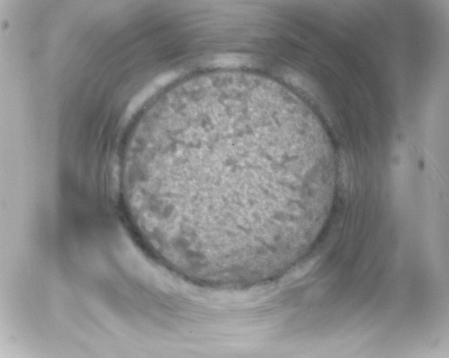 X0000052650016200507221853