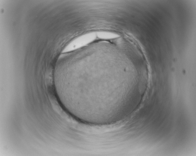 X0000052650017200507221853