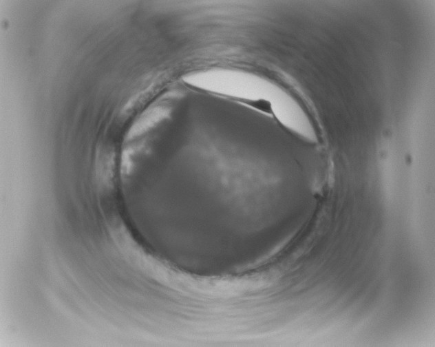 X0000052650018200507221853