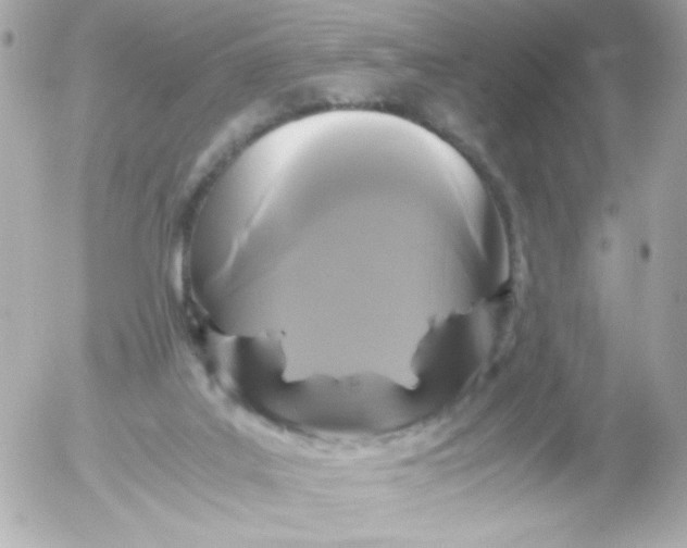 X0000052650019200507221853