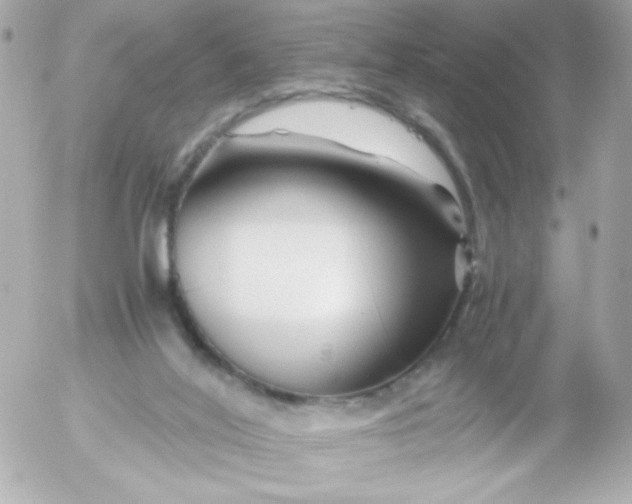 X0000052650020200507221853