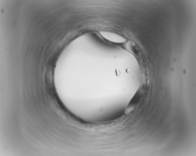 X0000052650021200507221853