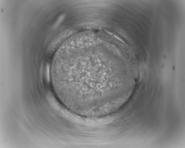 X0000052650022200507221853