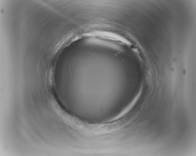 X0000052650023200507221853