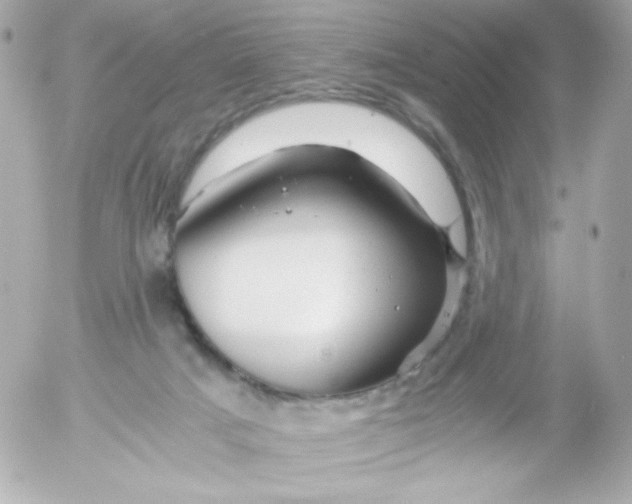 X0000052650025200507221853