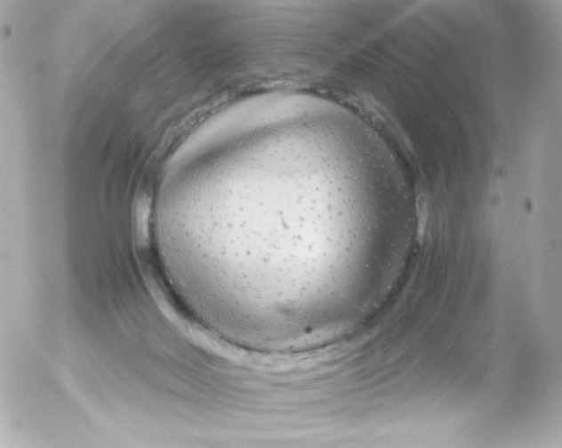 X0000052650026200507221853