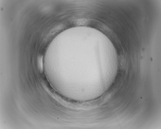 X0000052650028200507221853