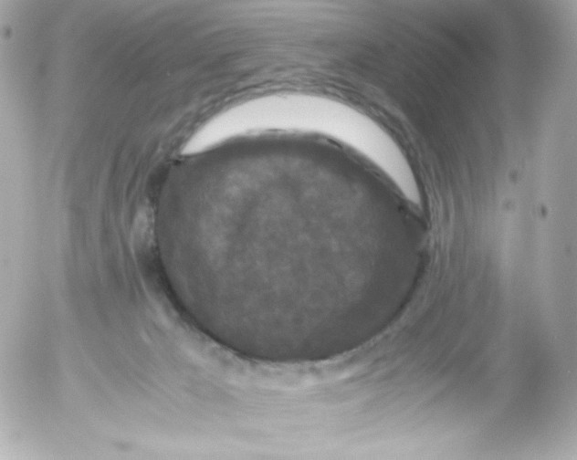 X0000052650029200507221853