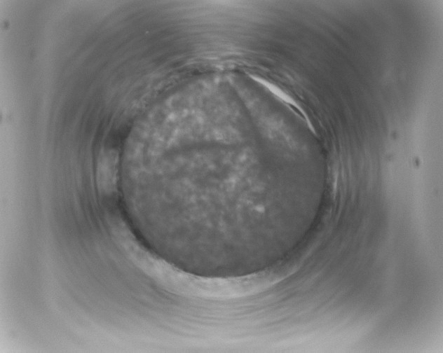 X0000052650030200507221853