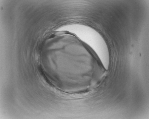 X0000052650031200507221853