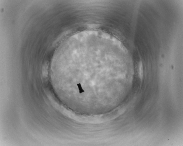 X0000052650032200507221853