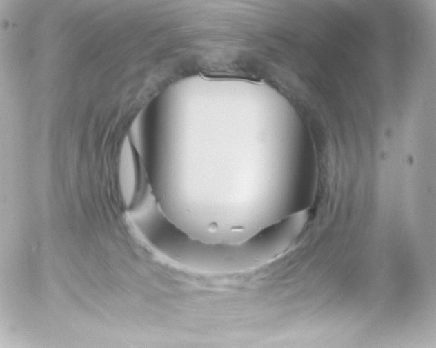 X0000052650033200507221853