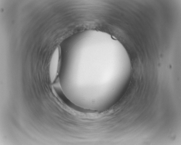 X0000052650034200507221853