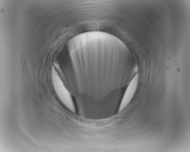 X0000052650035200507221853