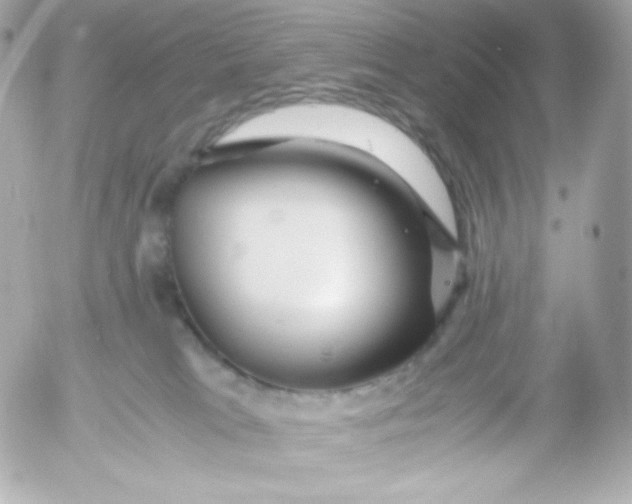 X0000052650037200507221853