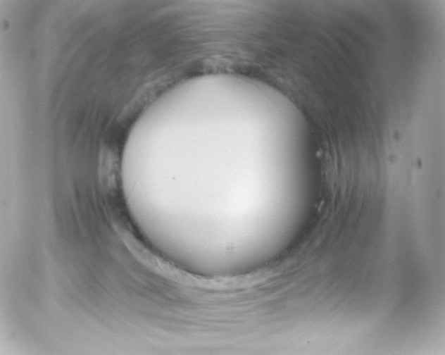 X0000052650038200507221853