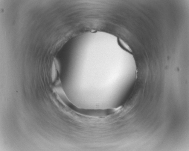 X0000052650040200507221852