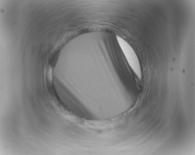 X0000052650041200507221852