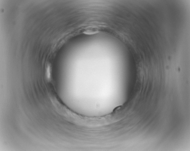 X0000052650042200507221852