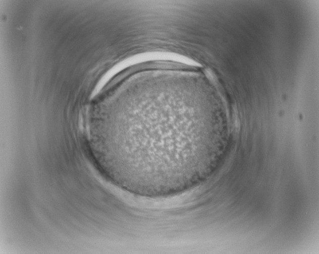 X0000052650043200507221852