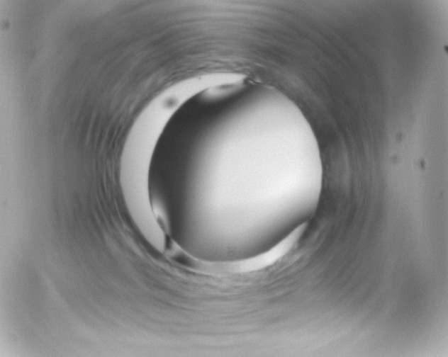 X0000052650044200507221852