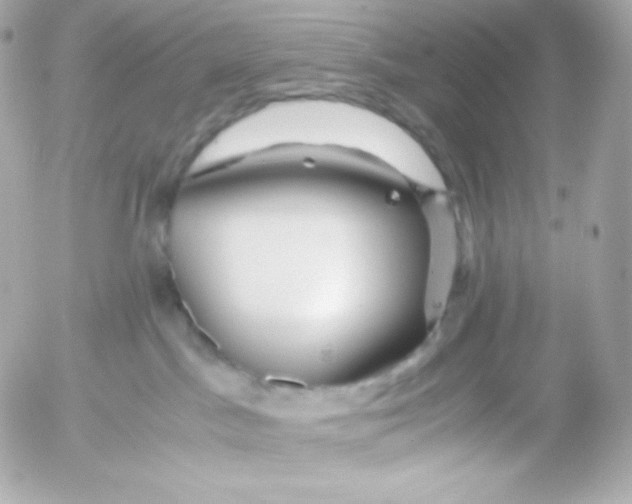 X0000052650045200507221852