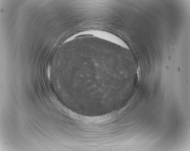 X0000052650046200507221852