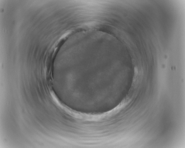 X0000052650048200507221852