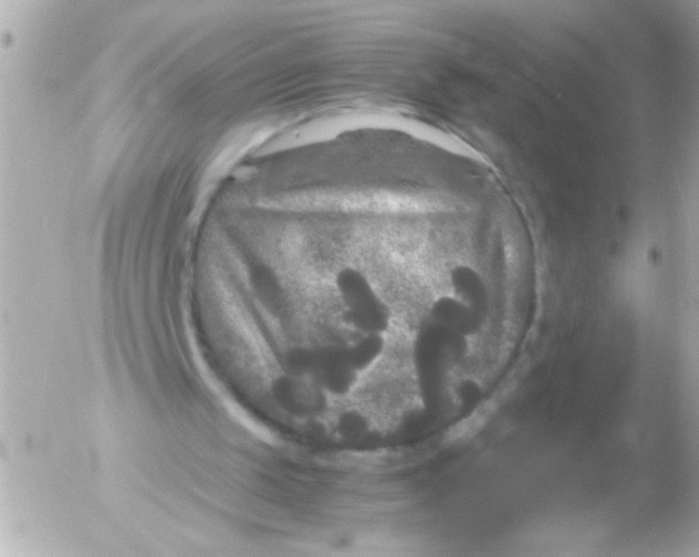 X0000052650049200507221852