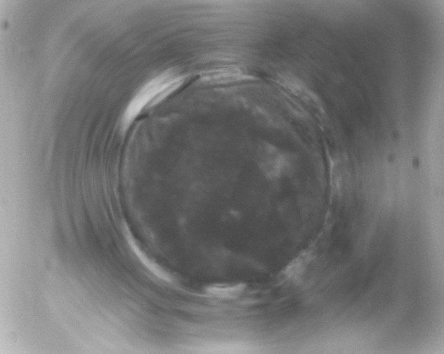 X0000052650051200507221852