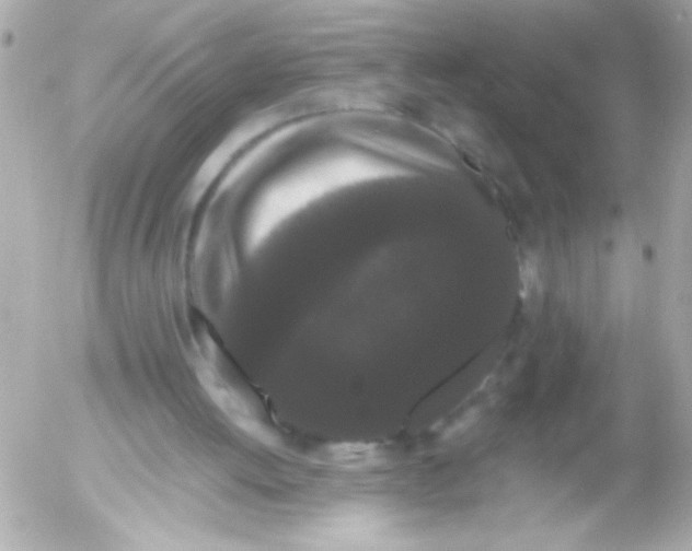 X0000052650052200507221852