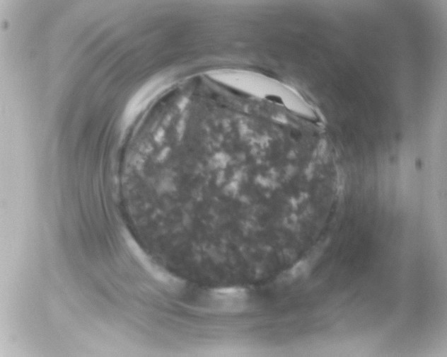 X0000052650053200507221852