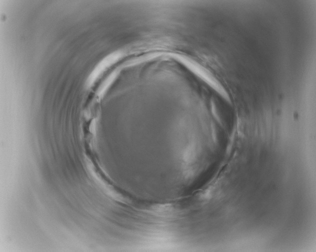 X0000052650054200507221852