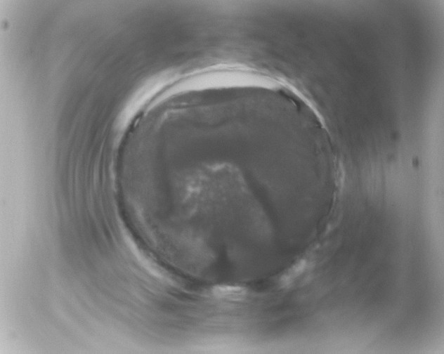 X0000052650055200507221852