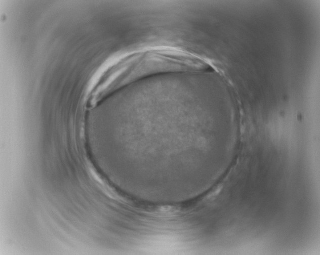 X0000052650056200507221852