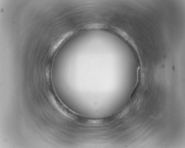 X0000052650057200507221852