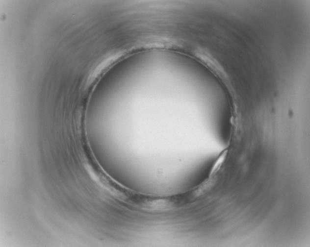 X0000052650058200507221852