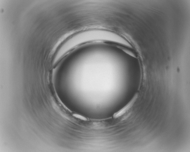 X0000052650060200507221852