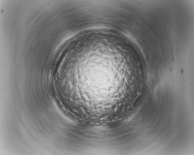 X0000052650063200507221852