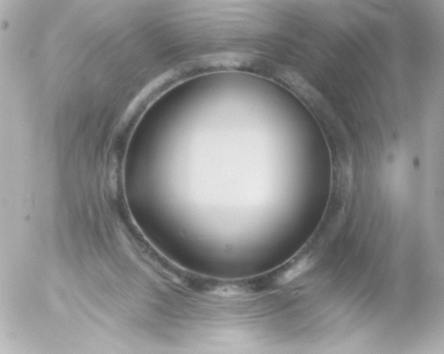 X0000052650064200507221852