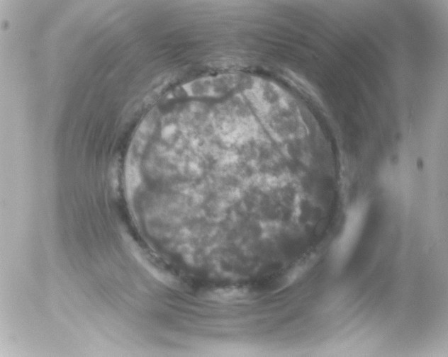 X0000052650065200507221852