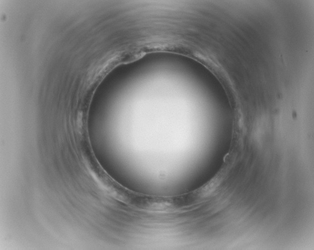 X0000052650066200507221852